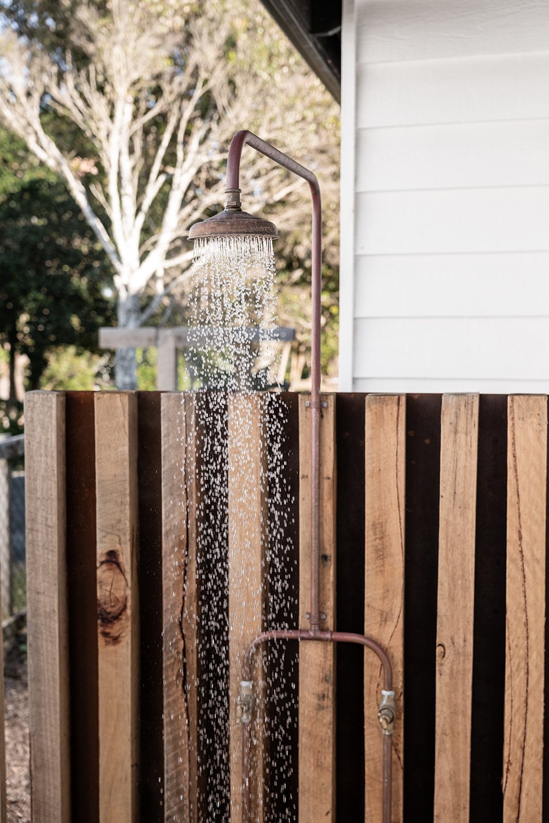 Fig Landscapes Garden Design and Build_Northern Rivers_Hastings Point18.jpg