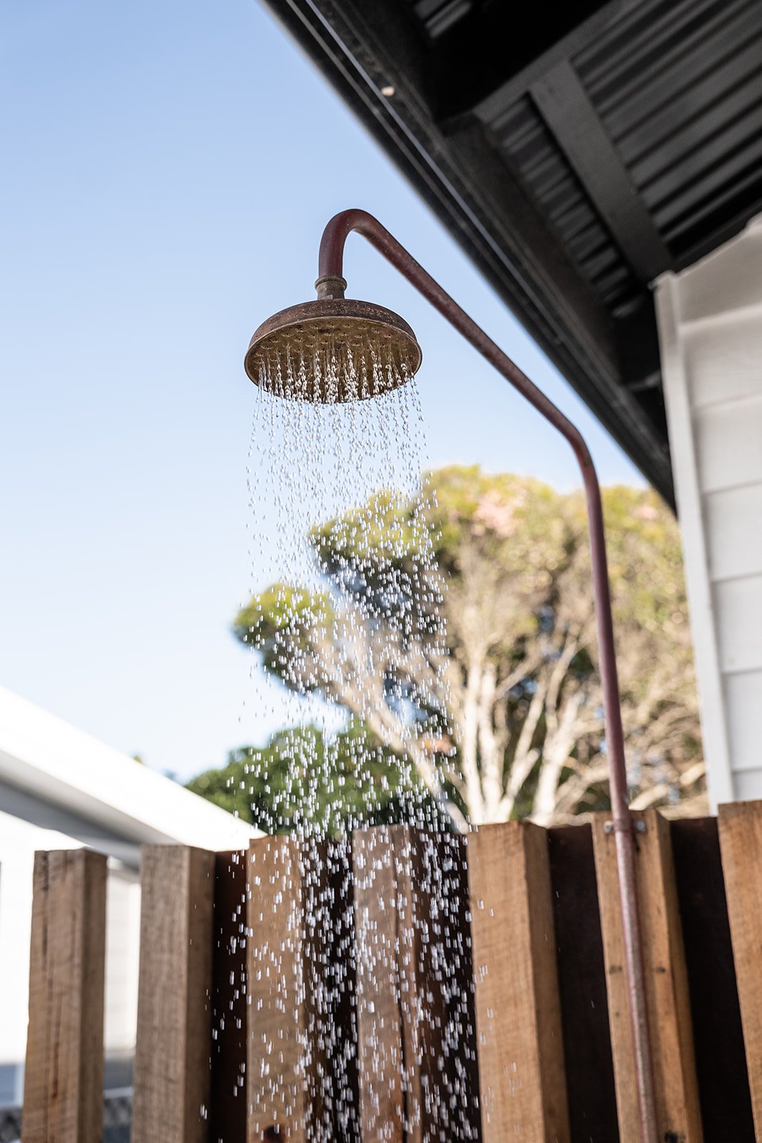 Fig Landscapes Garden Design and Build_Northern Rivers_Hastings Point19.jpg