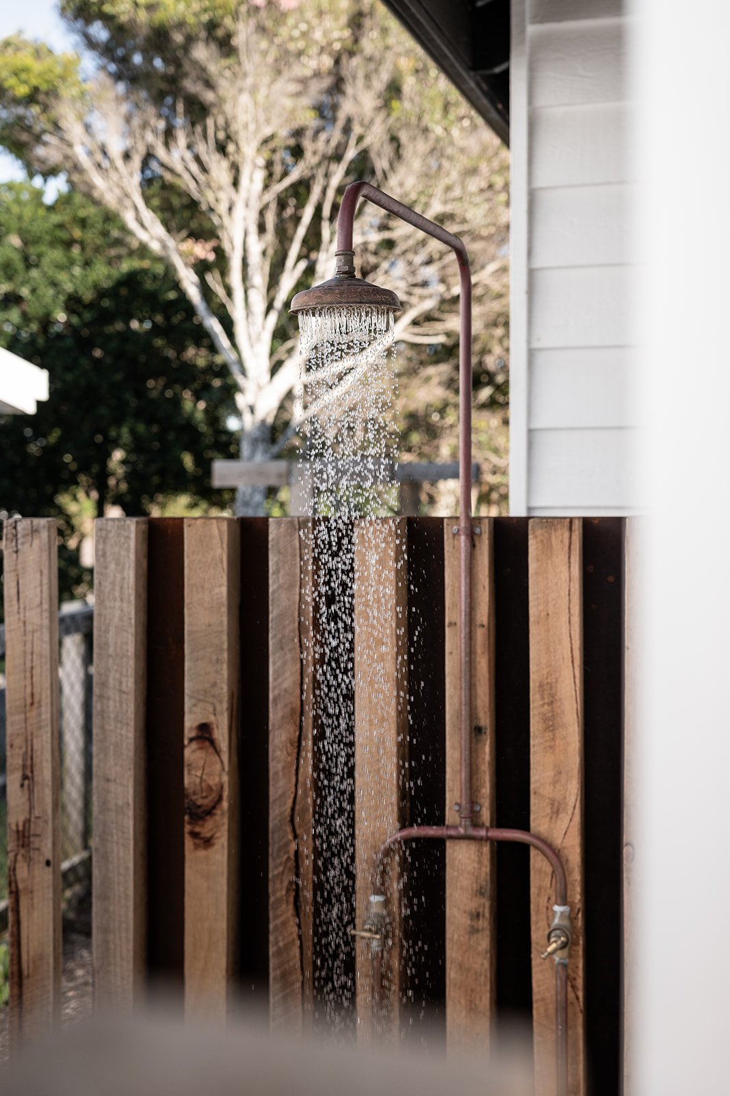 Fig Landscapes Garden Design and Build_Northern Rivers_Hastings Point20.jpg