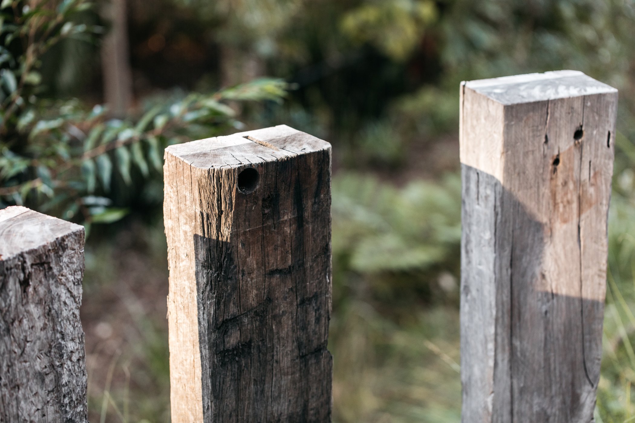 Fig Landscapes Garden Design and Build_Byron Bay_Ewingsdale77.jpg