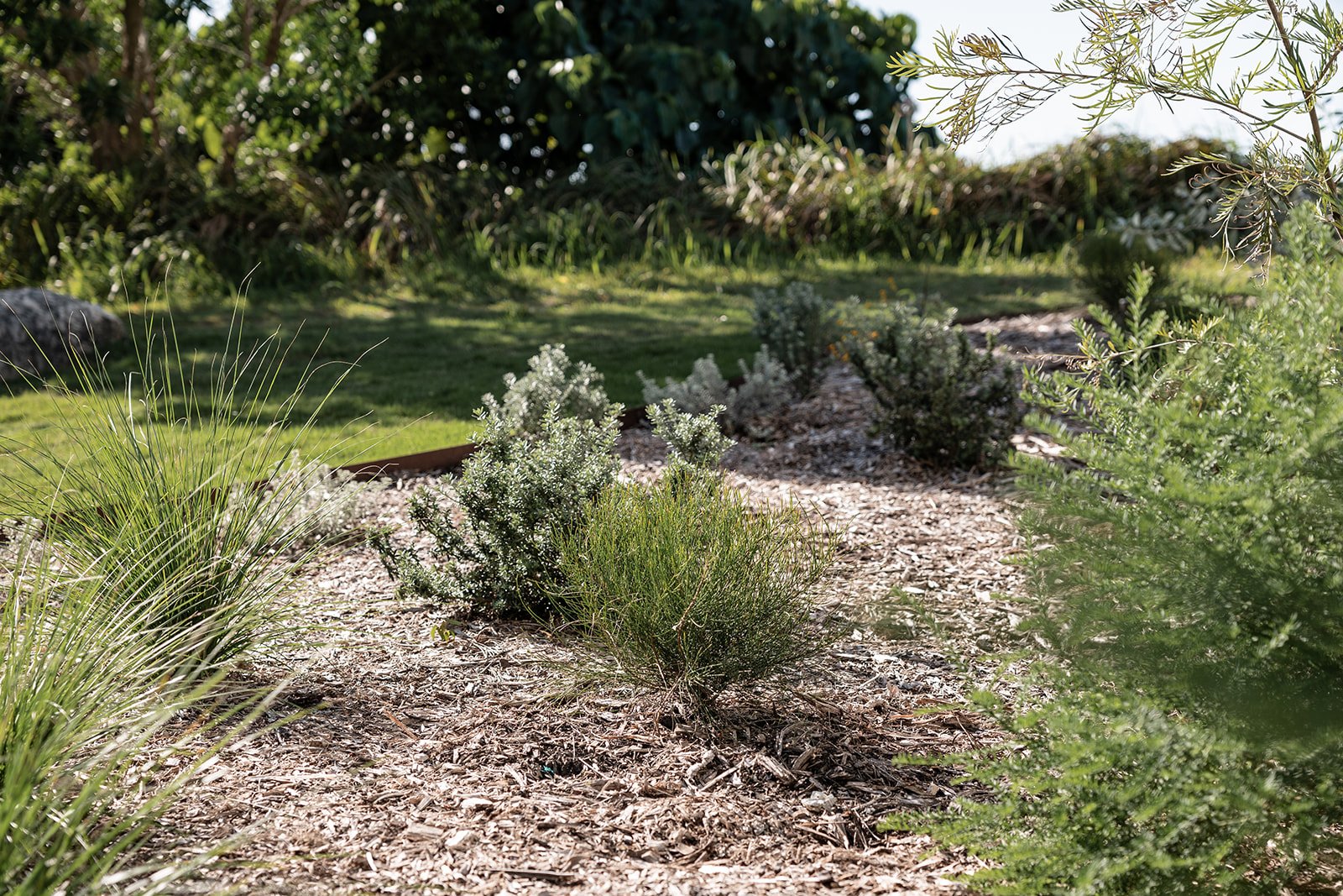 Fig Landscapes Garden Design and Build_Northern Rivers_Hastings Point22.jpg