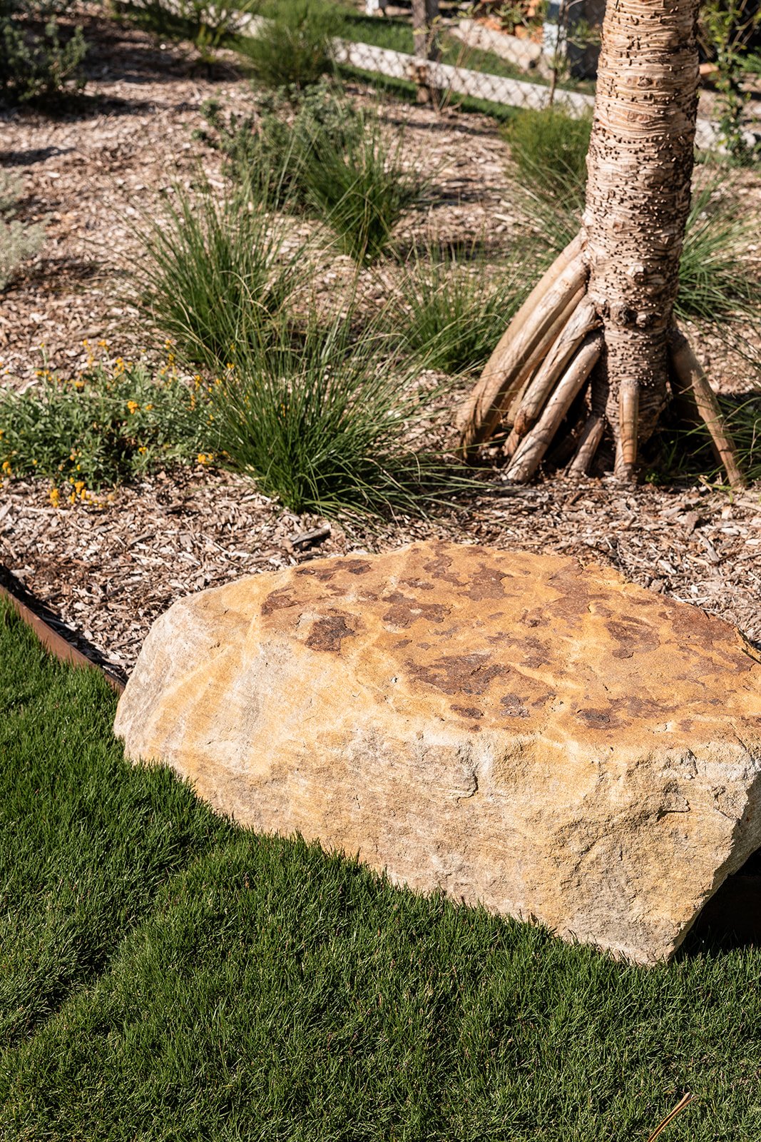 Fig Landscapes Garden Design and Build_Northern Rivers_Hastings Point27.jpg