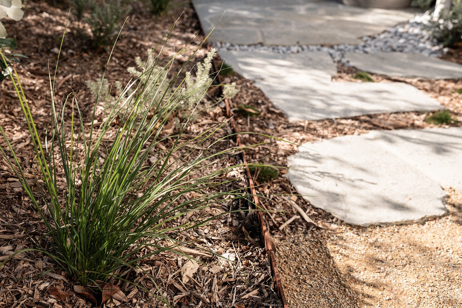 Fig Landscapes Garden Design and Build_Northern Rivers_Hastings Point32.jpg