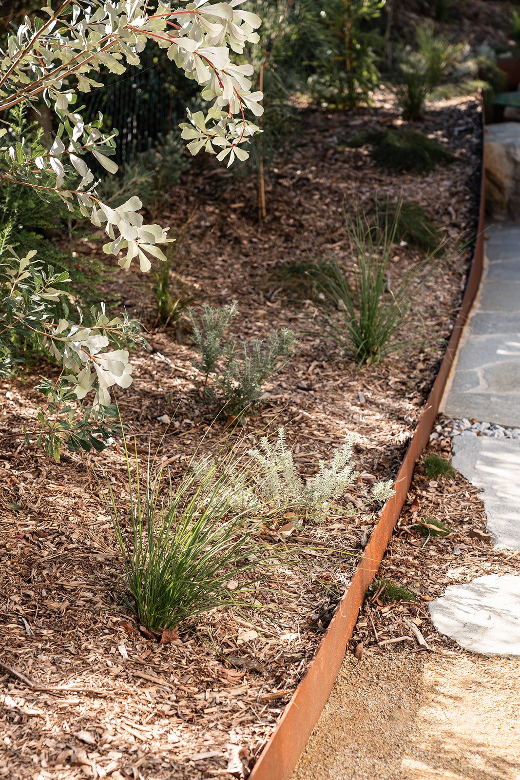 Fig Landscapes Garden Design and Build_Northern Rivers_Hastings Point31.jpg