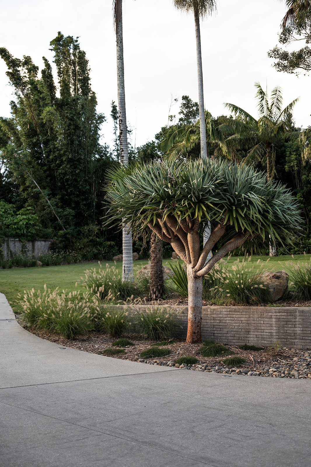 Fig Landscapes Garden Design and Build_Ewingsdale_Byron Bay1.jpg
