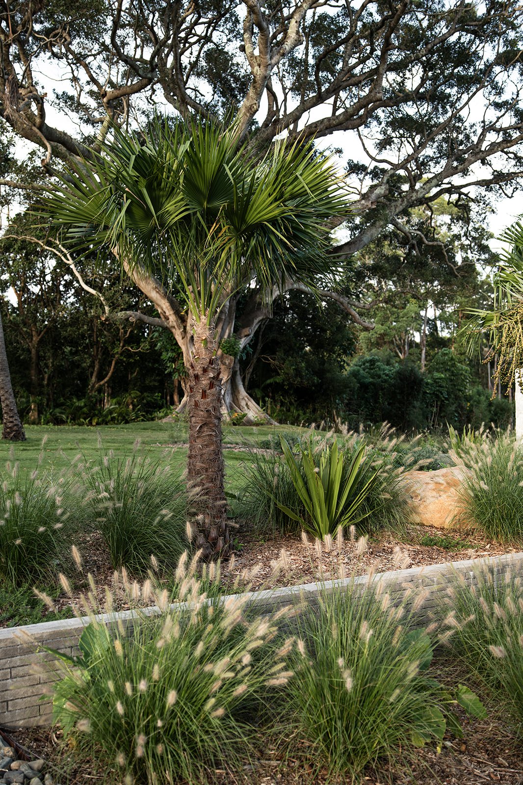 Fig Landscapes Garden Design and Build_Ewingsdale_Byron Bay2.jpg