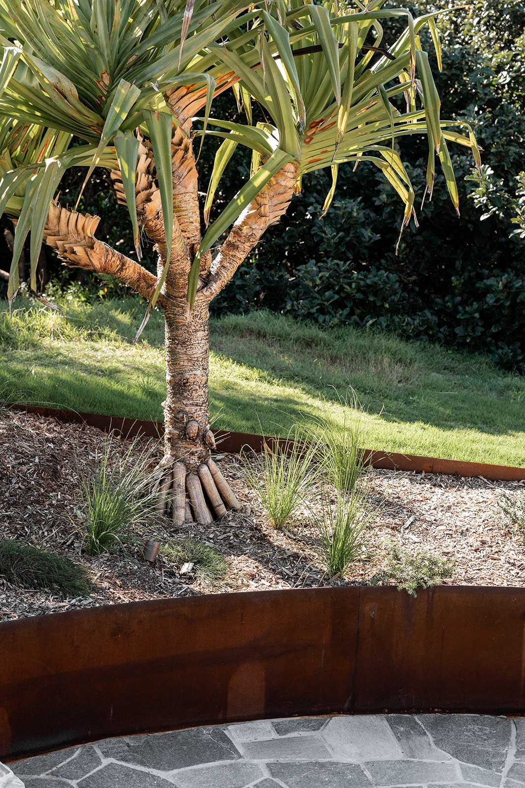 Fig Landscapes Garden Design and Build_Northern Rivers_Hastings Point39.jpg