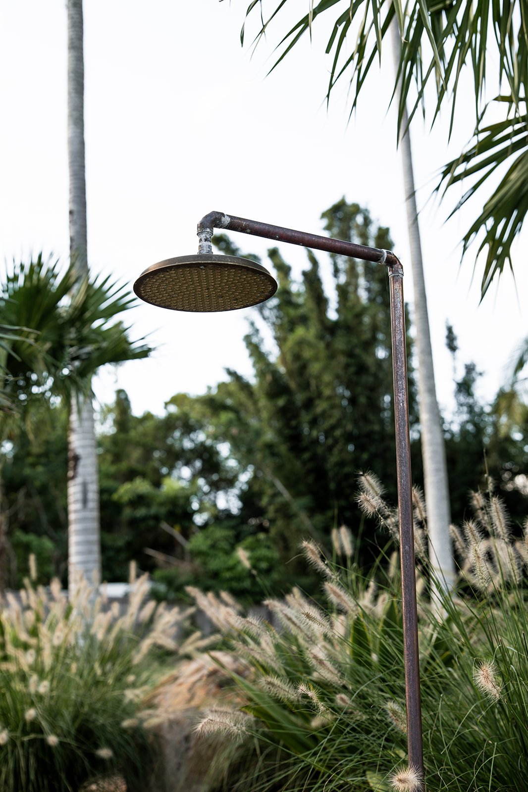 Fig Landscapes Garden Design and Build_Ewingsdale_Byron Bay4.jpg
