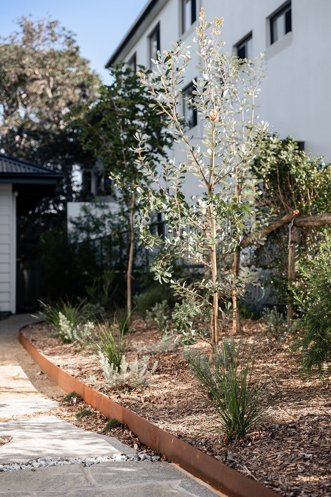 Fig Landscapes Garden Design and Build_Northern Rivers_Hastings Point44.jpg