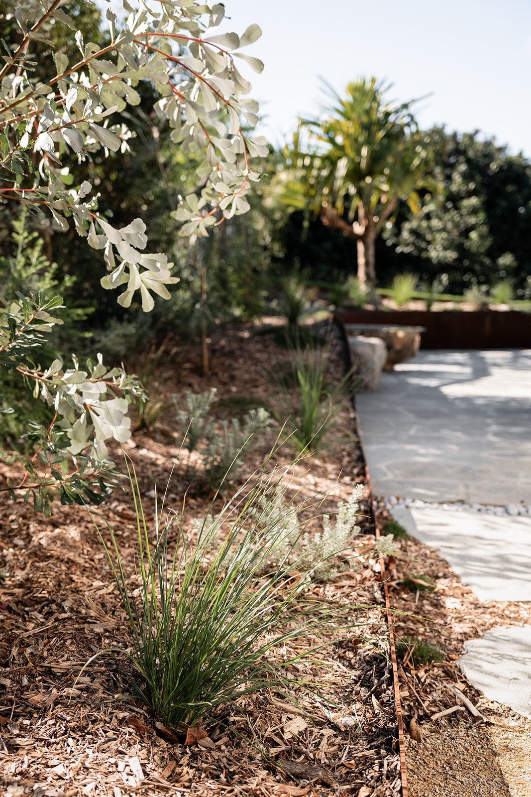 Fig Landscapes Garden Design and Build_Northern Rivers_Hastings Point45.jpg