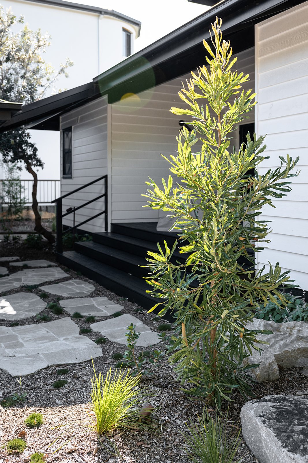 Fig Landscapes Garden Design and Build_Northern Rivers_Hastings Point48.jpg
