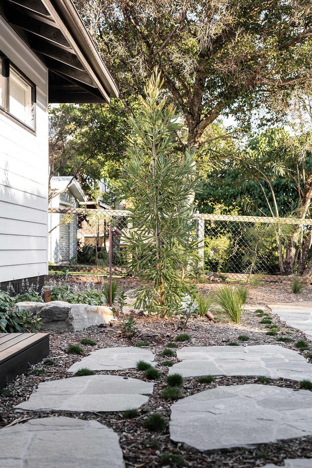 Fig Landscapes Garden Design and Build_Northern Rivers_Hastings Point51.jpg