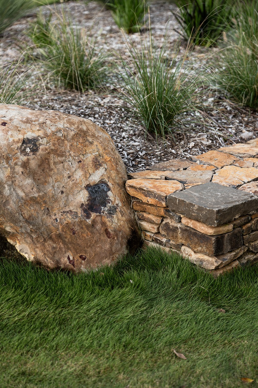Fig Landscapes Garden Design and Build_Ewingsdale_Byron Bay13.jpg