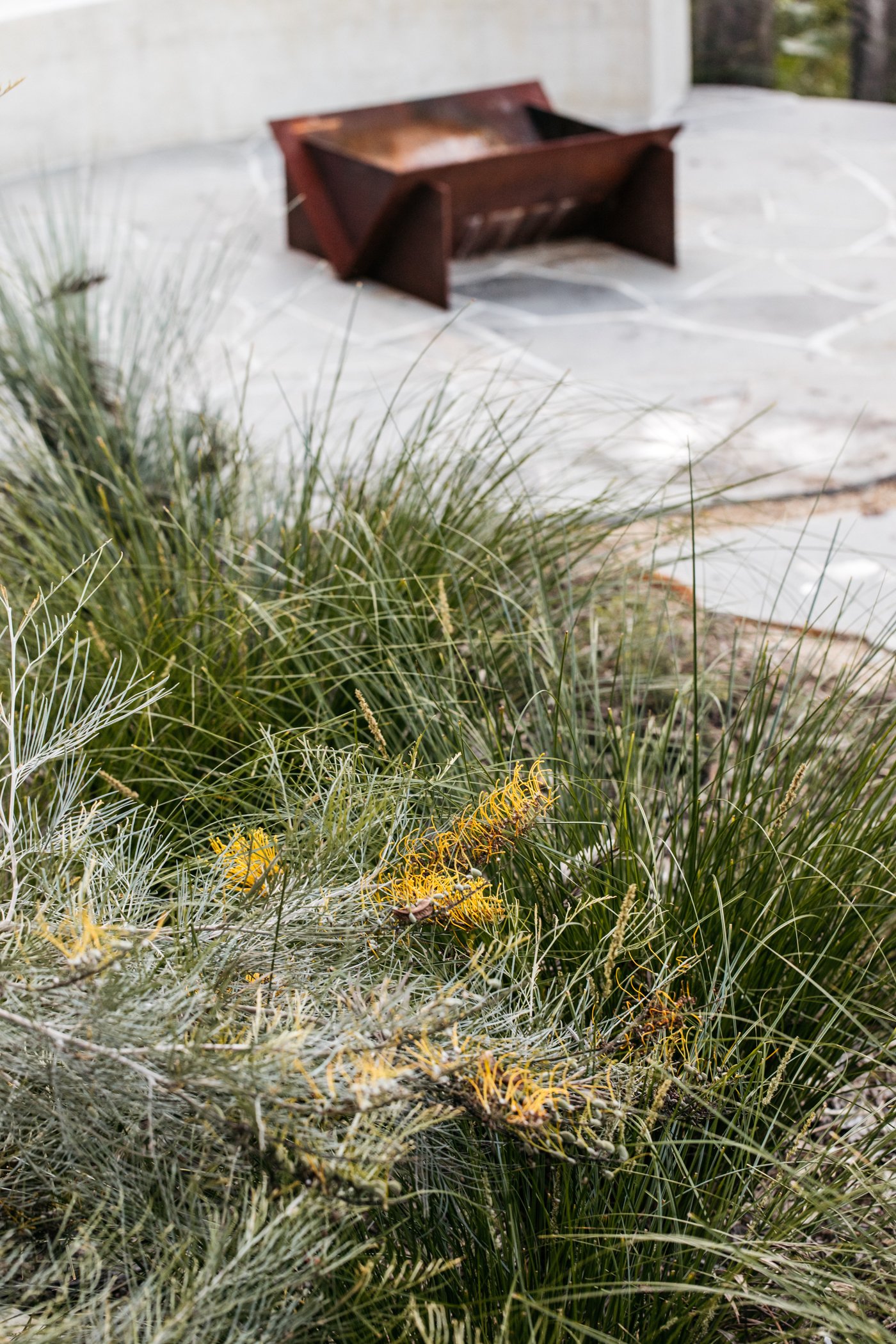 Fig Landscapes Garden Design and Build_Byron Bay_Ewingsdale89.jpg