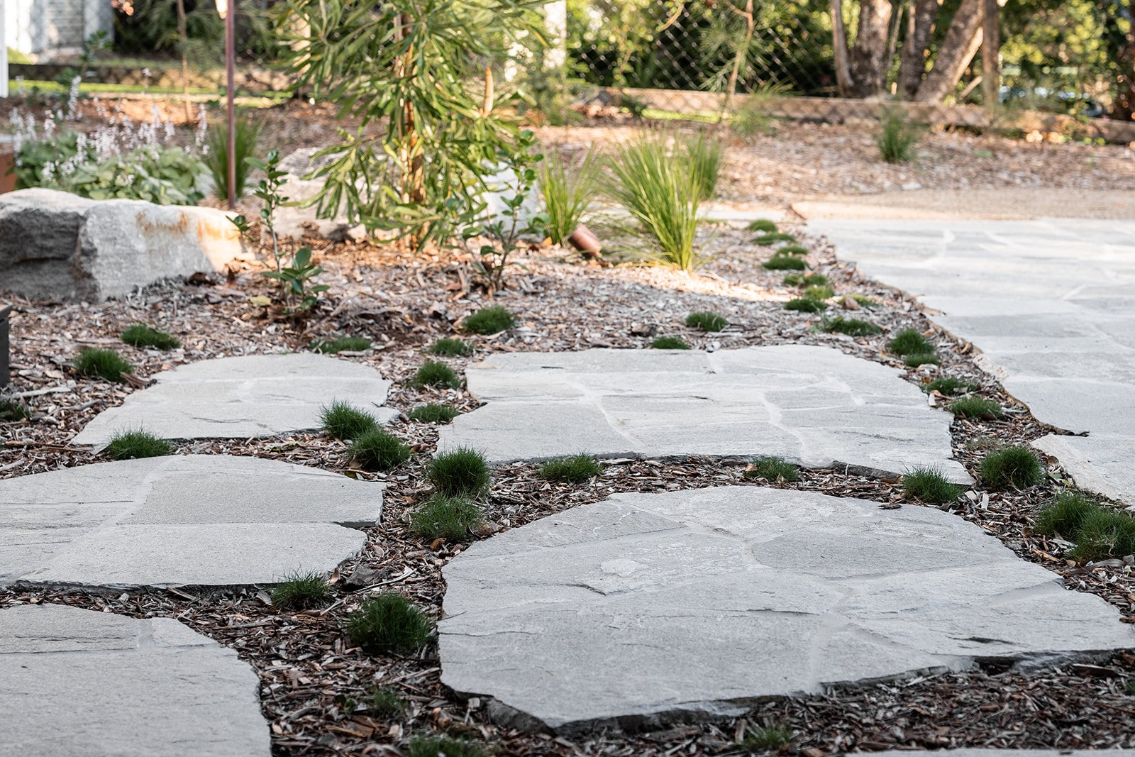 Fig Landscapes Garden Design and Build_Northern Rivers_Hastings Point52.jpg