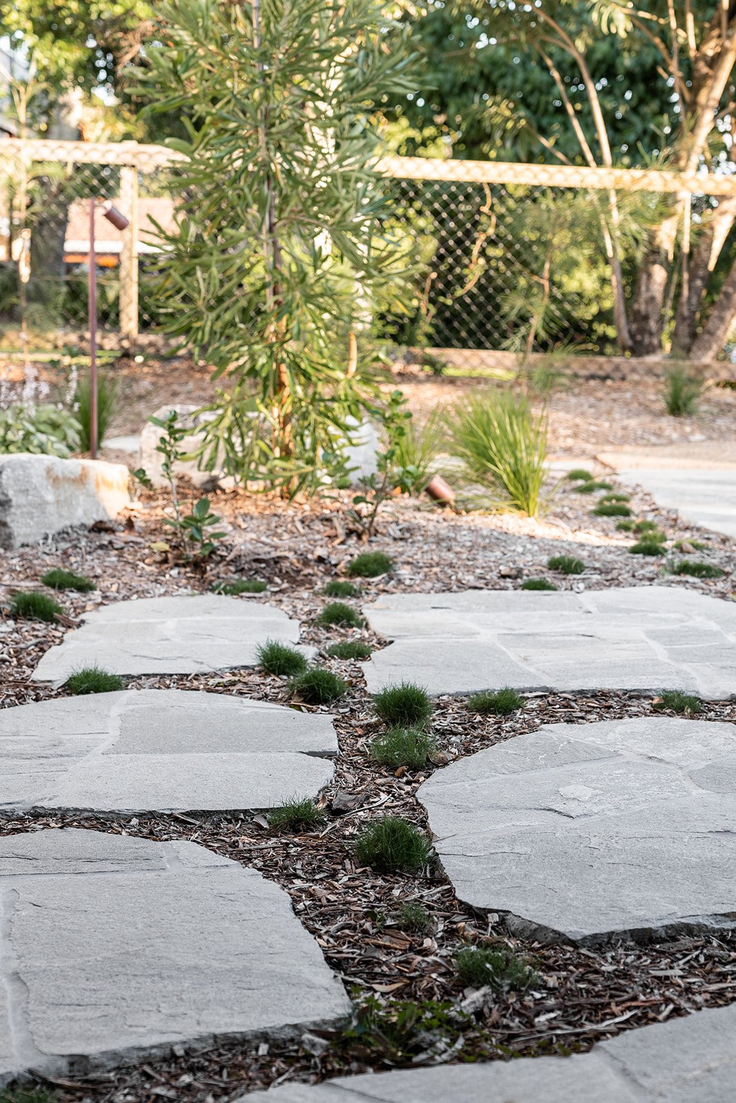 Fig Landscapes Garden Design and Build_Northern Rivers_Hastings Point53.jpg