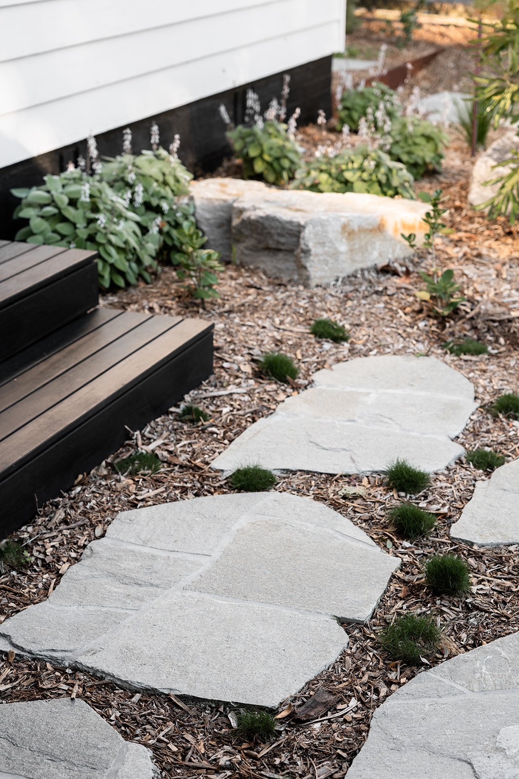 Fig Landscapes Garden Design and Build_Northern Rivers_Hastings Point55.jpg