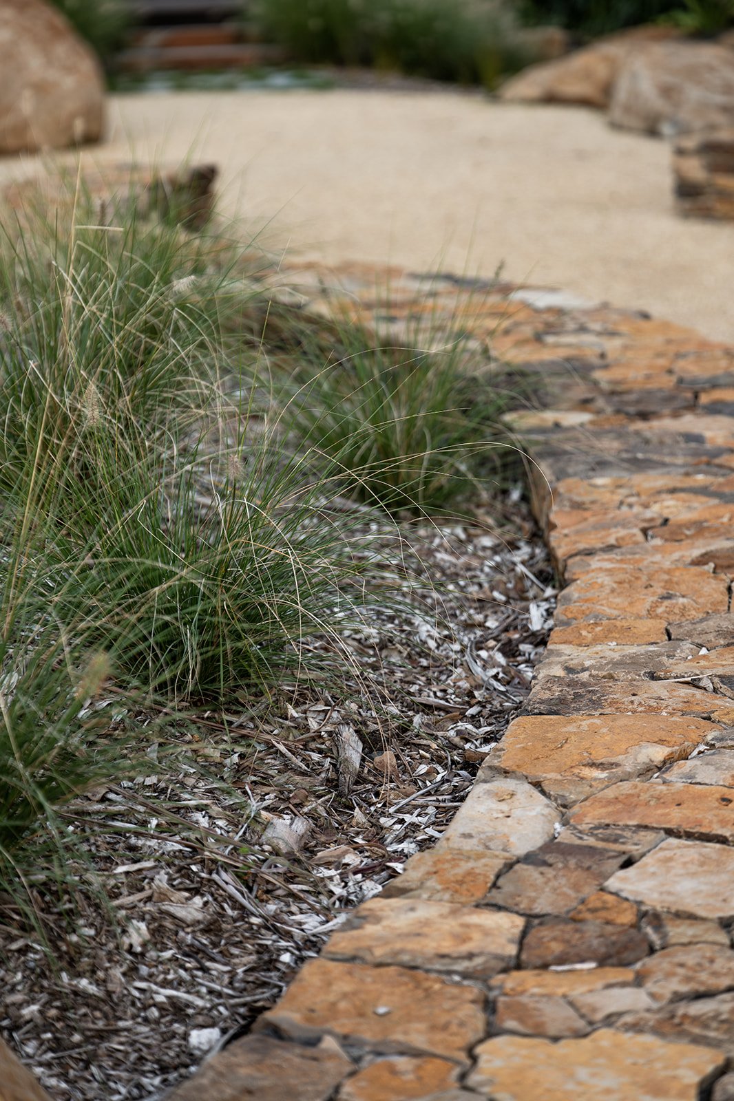 Fig Landscapes Garden Design and Build_Ewingsdale_Byron Bay16.jpg