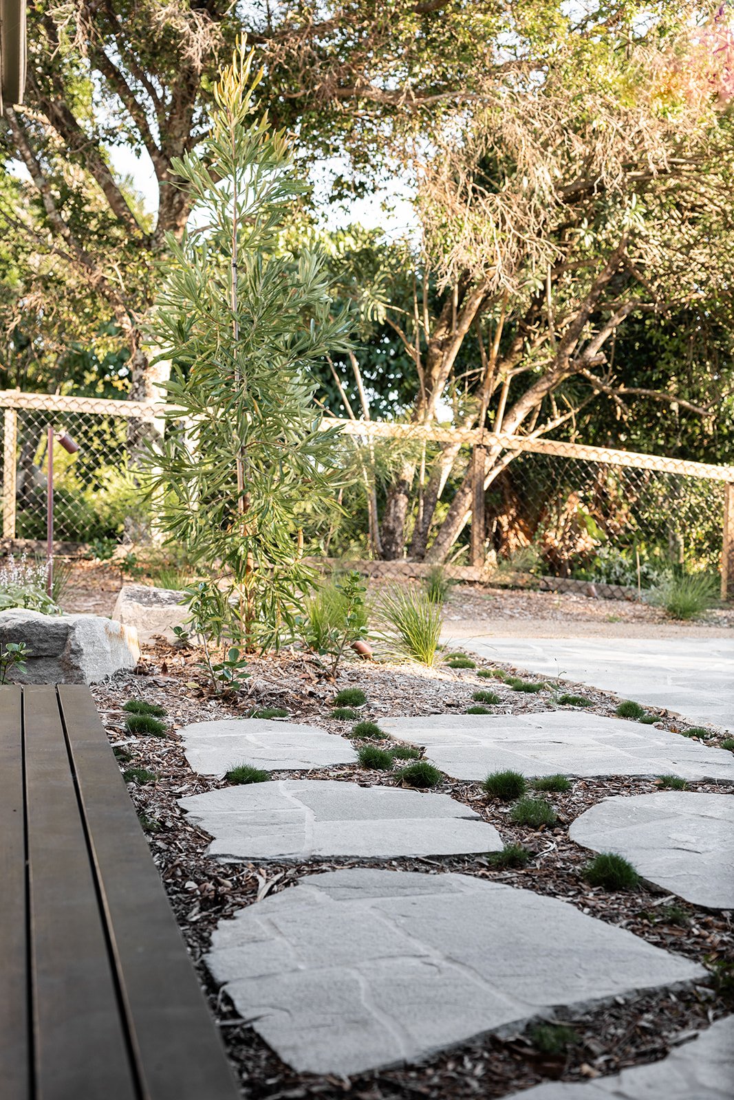 Fig Landscapes Garden Design and Build_Northern Rivers_Hastings Point54.jpg