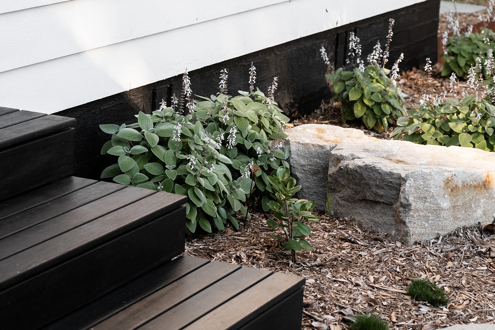 Fig Landscapes Garden Design and Build_Northern Rivers_Hastings Point56.jpg