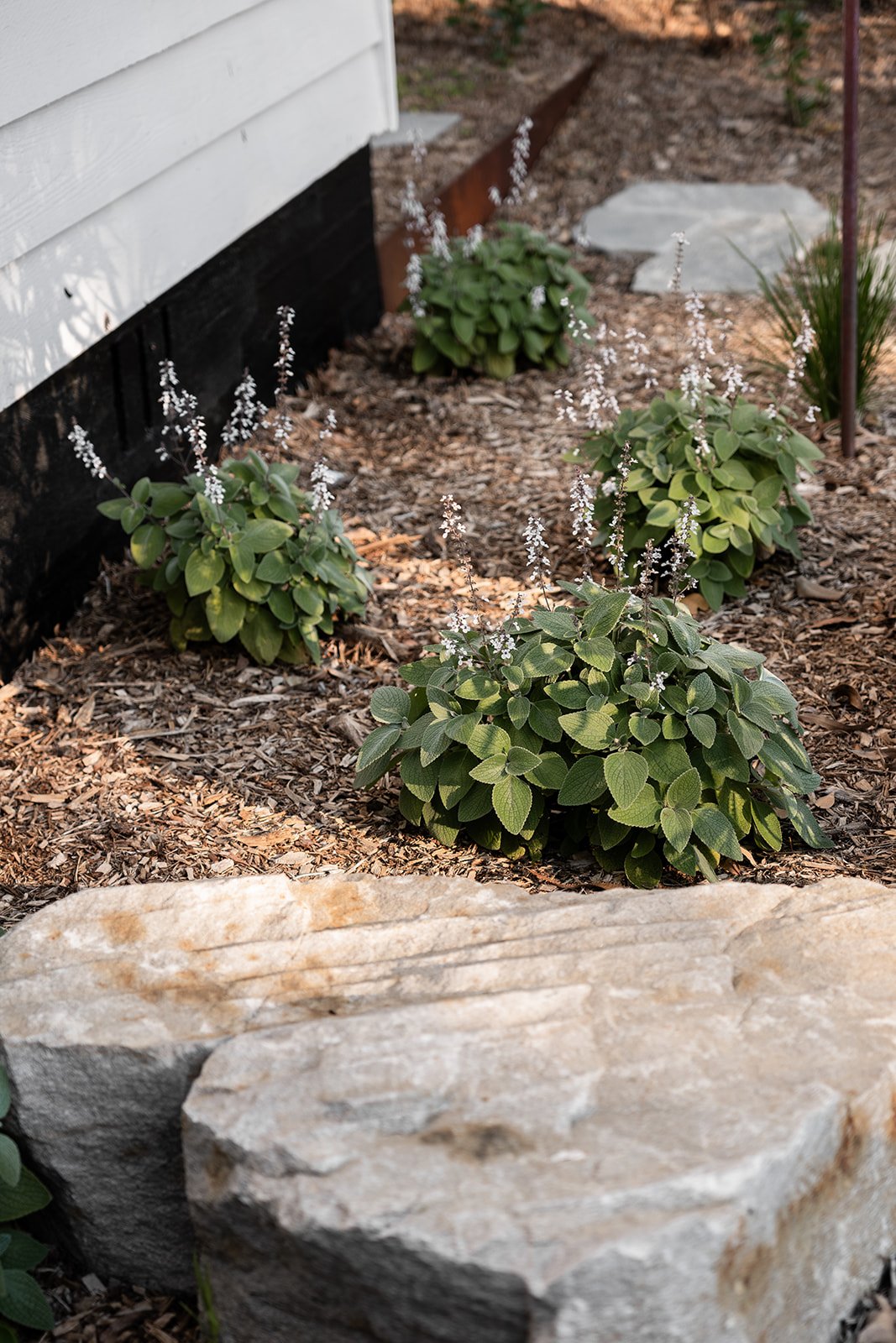 Fig Landscapes Garden Design and Build_Northern Rivers_Hastings Point58.jpg