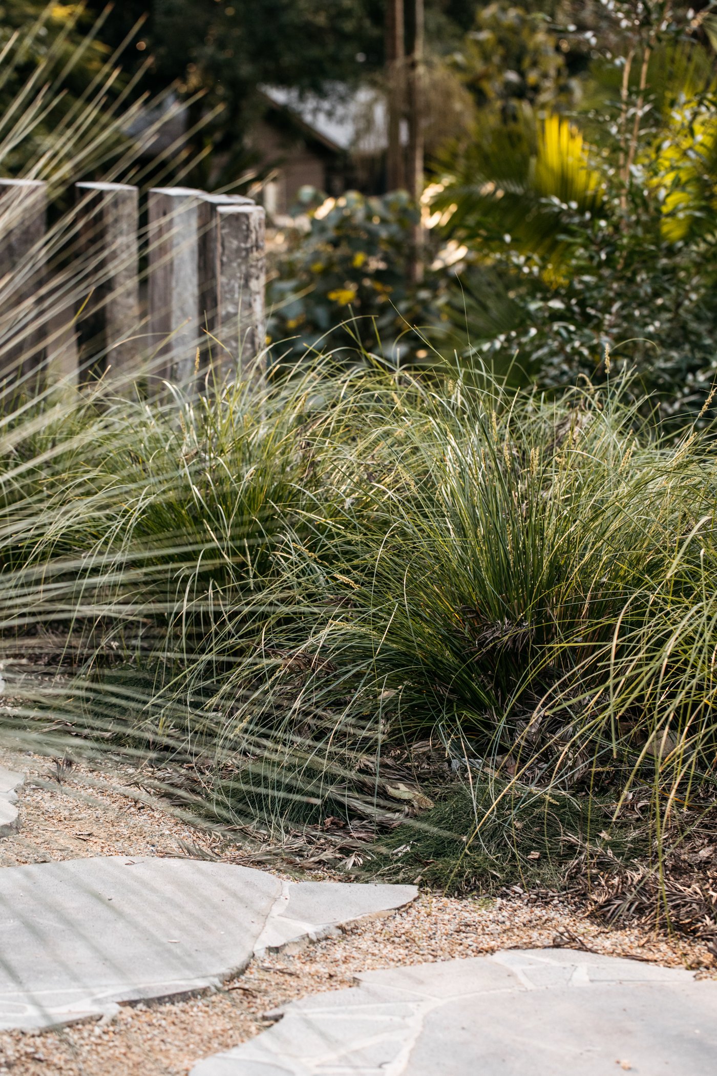 Fig Landscapes Garden Design and Build_Byron Bay_Ewingsdale90.jpg
