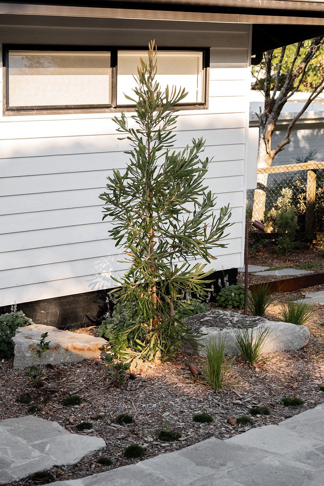 Fig Landscapes Garden Design and Build_Northern Rivers_Hastings Point59.jpg