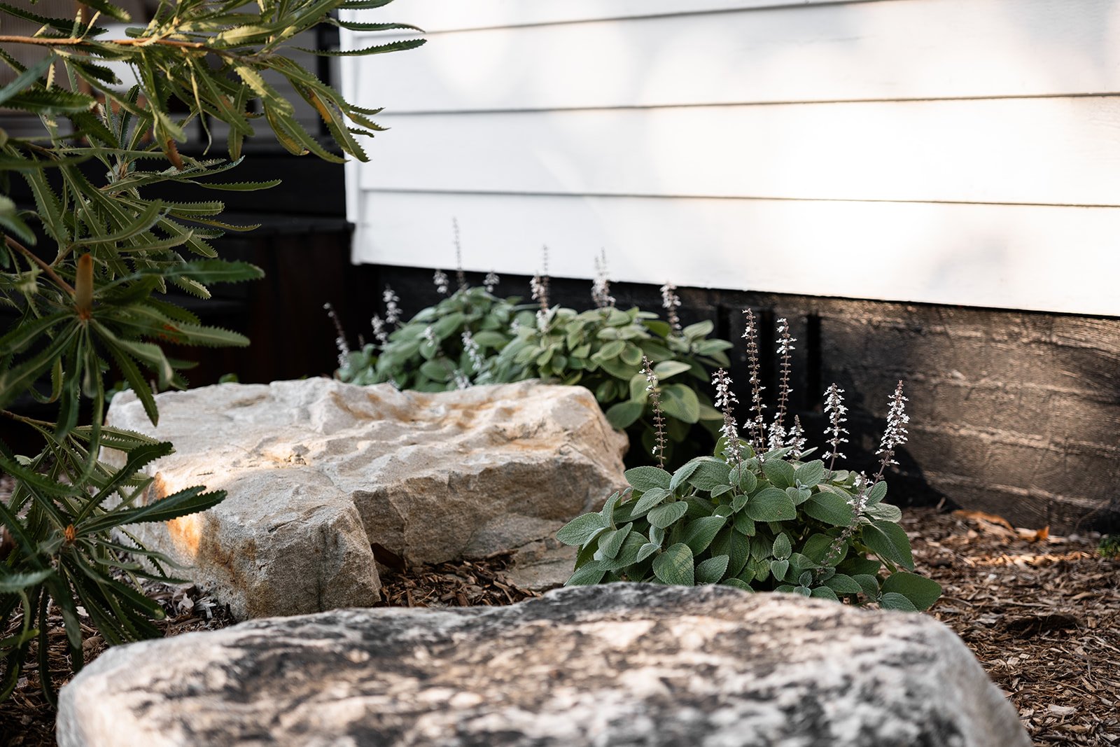 Fig Landscapes Garden Design and Build_Northern Rivers_Hastings Point64.jpg