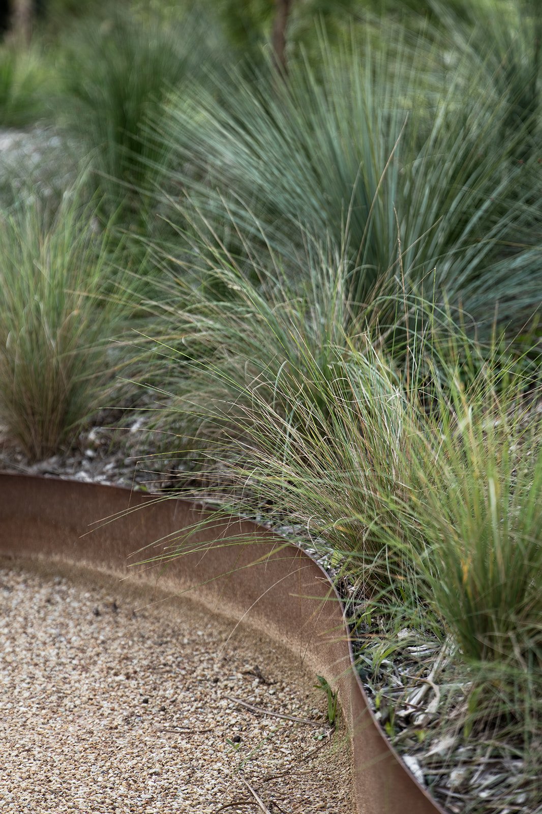 Fig Landscapes Garden Design and Build_Ewingsdale_Byron Bay26.jpg