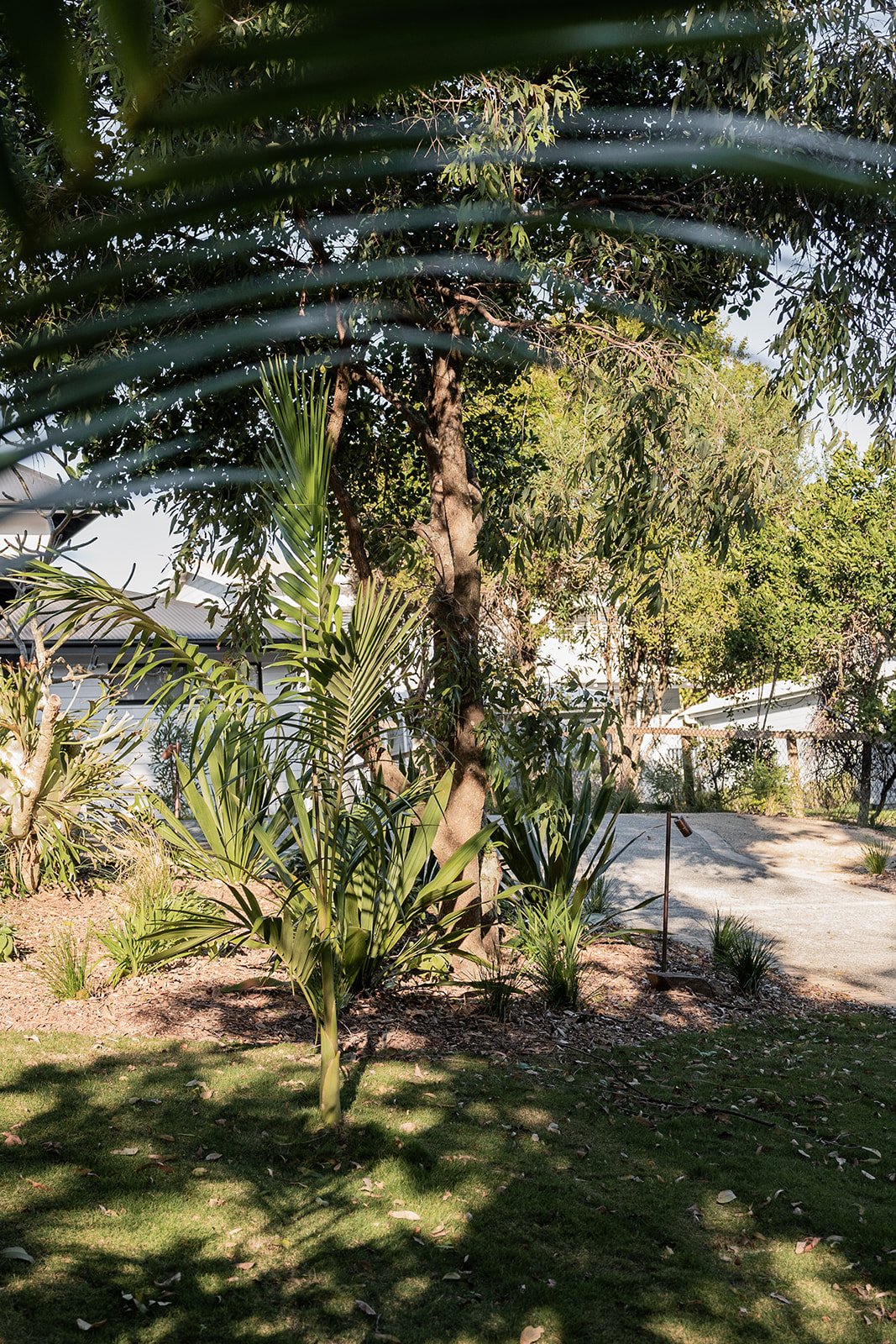 Fig Landscapes Garden Design and Build_Northern Rivers_Hastings Point68.jpg