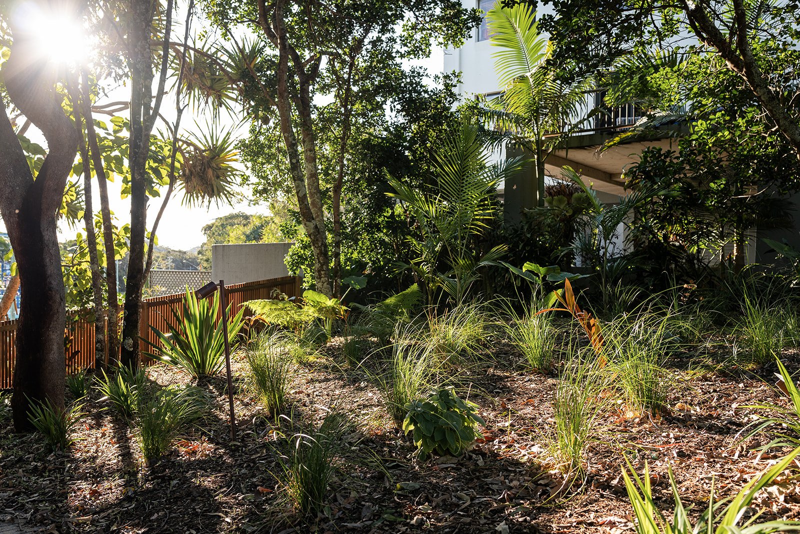 Fig Landscapes Garden Design and Build_Northern Rivers_Hastings Point69.jpg