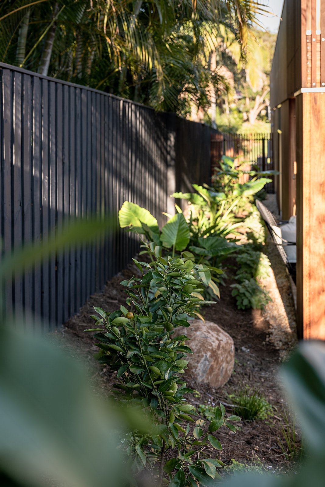 Fig Landscapes Garden Design and Build_Byron Bay14.jpg