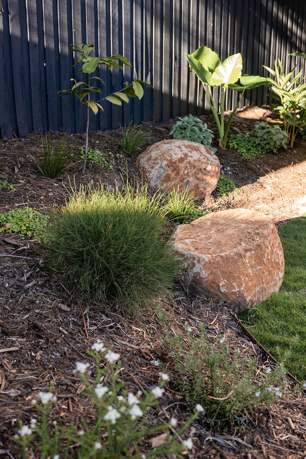 Fig Landscapes Garden Design and Build_Byron Bay17.jpg