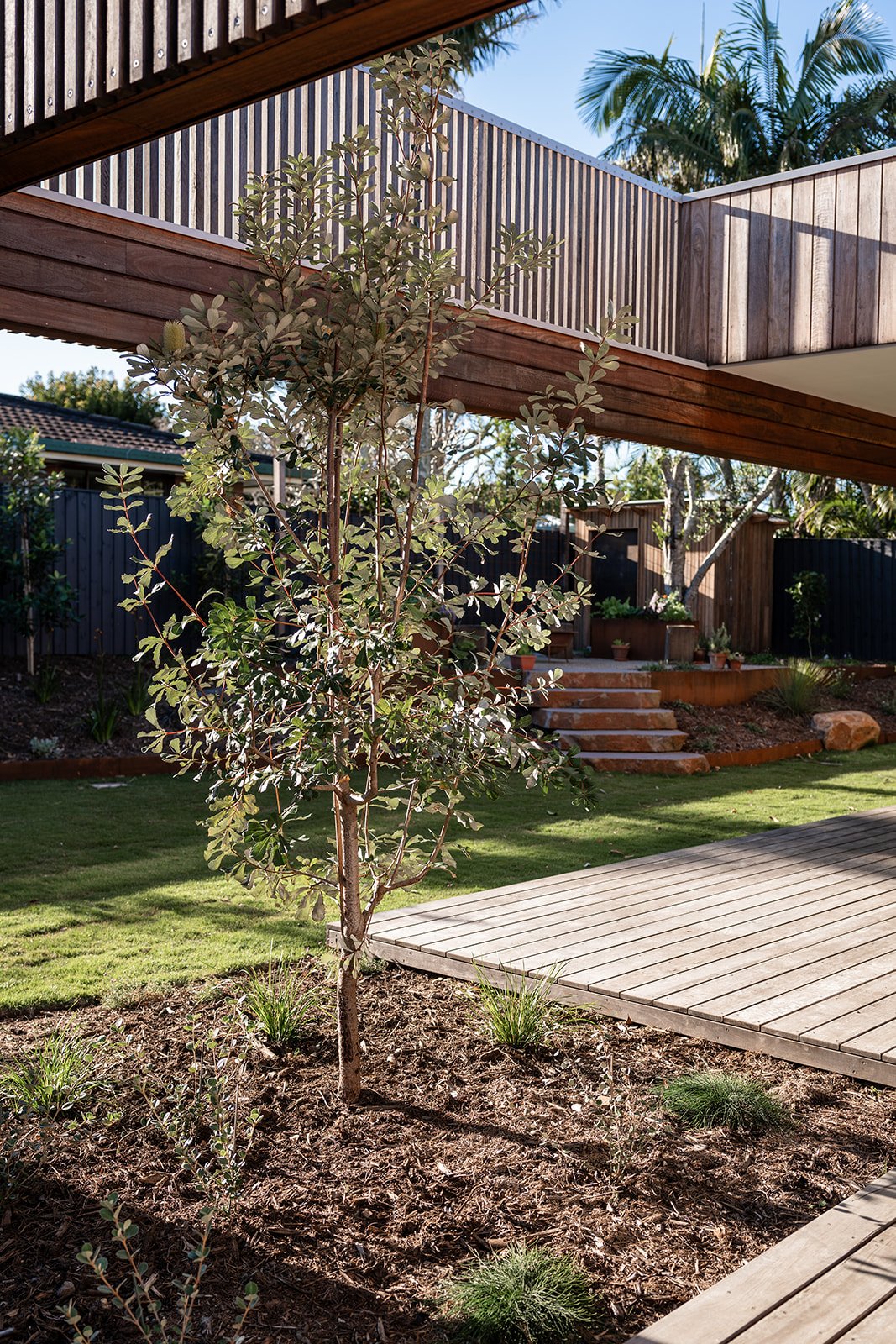 Fig Landscapes Garden Design and Build_Byron Bay24.jpg