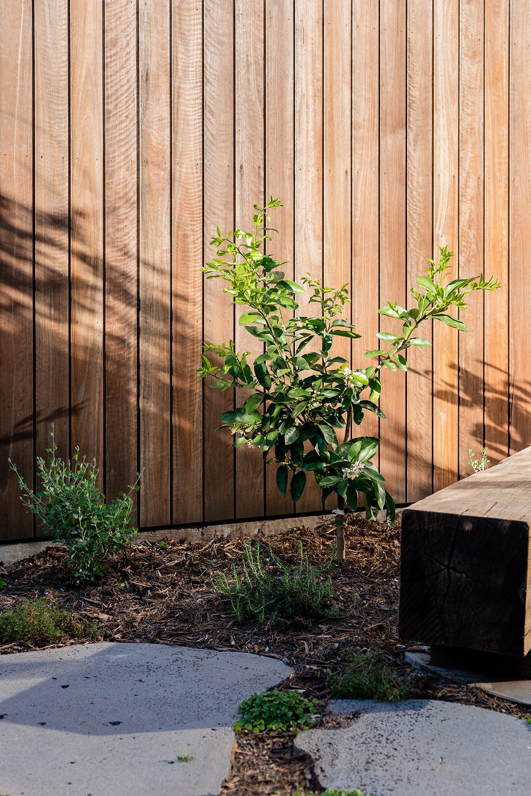 Fig Landscapes Garden Design and Build_Byron Bay73.jpg
