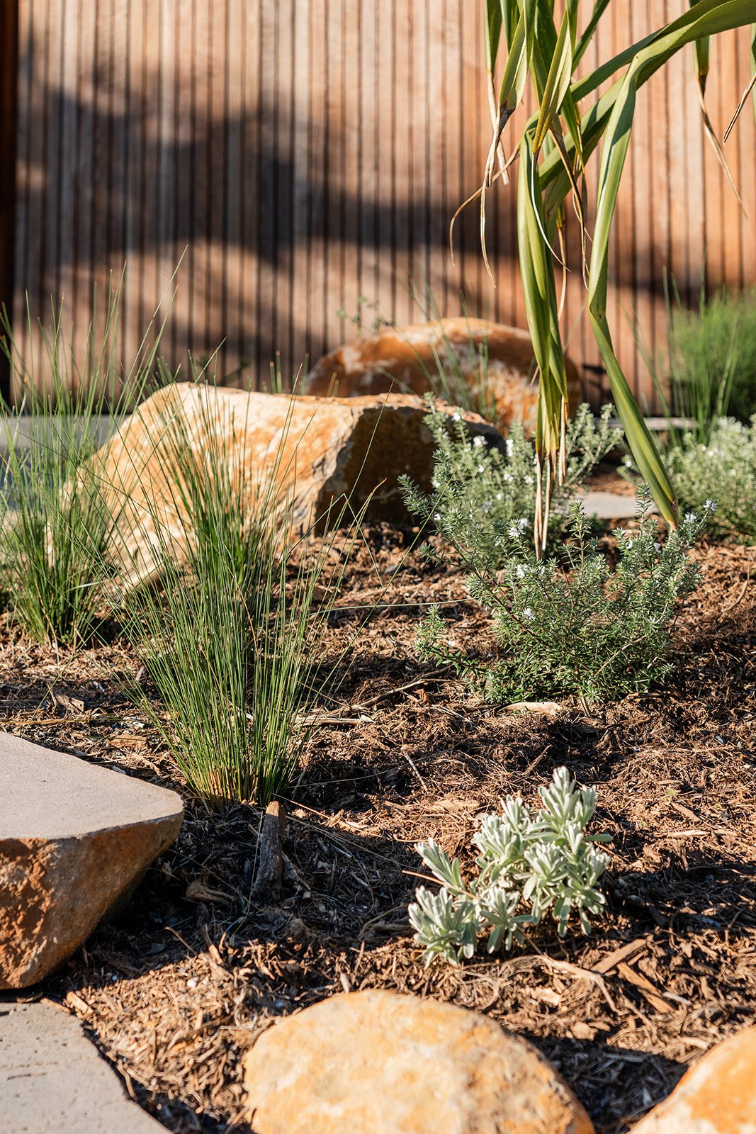 Fig Landscapes Garden Design and Build_Byron Bay100.jpg