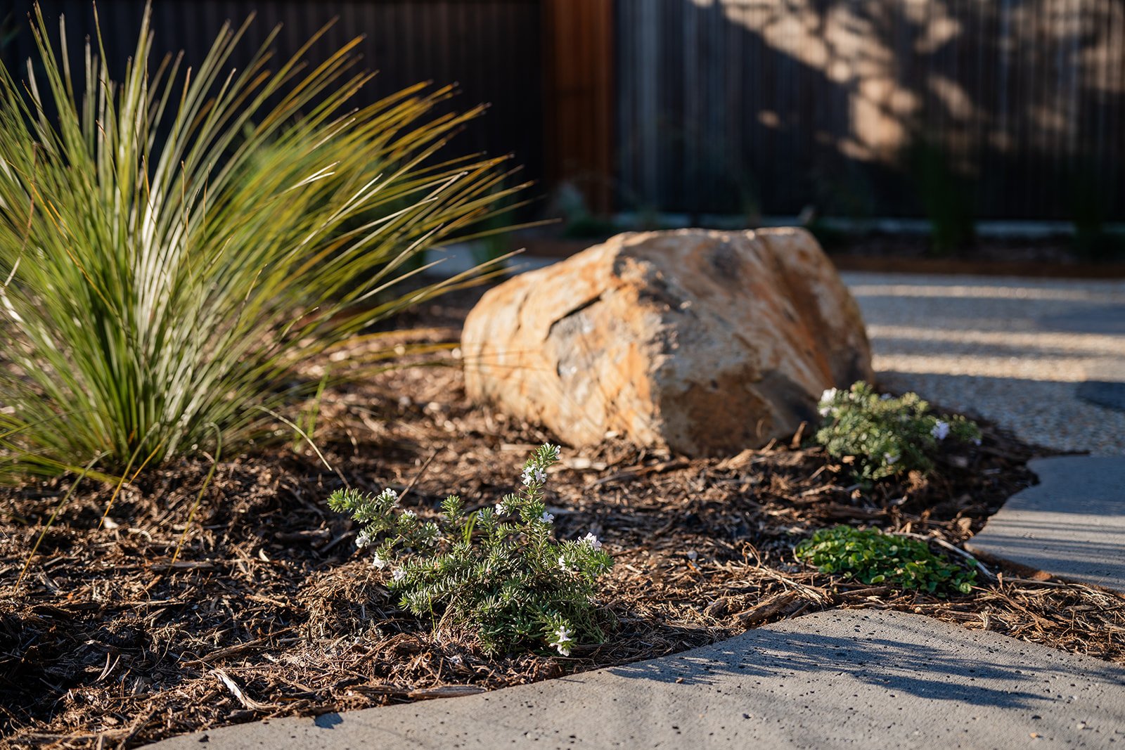 Fig Landscapes Garden Design and Build_Byron Bay115.jpg