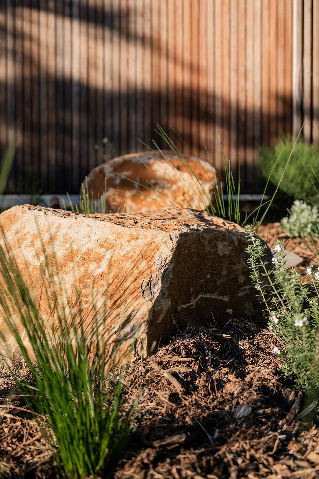 Fig Landscapes Garden Design and Build_Byron Bay116.jpg