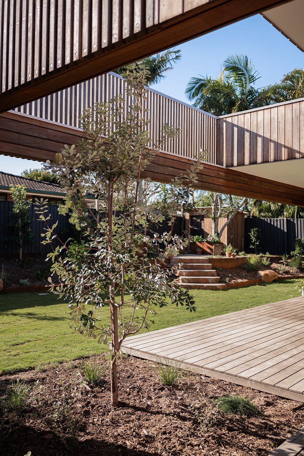 Fig Landscapes Garden Design and Build_Byron Bay60.jpg