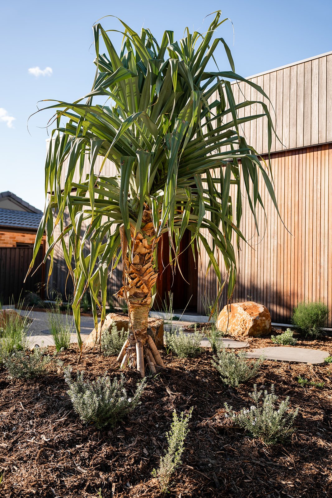Fig Landscapes Garden Design and Build_Byron Bay76.jpg
