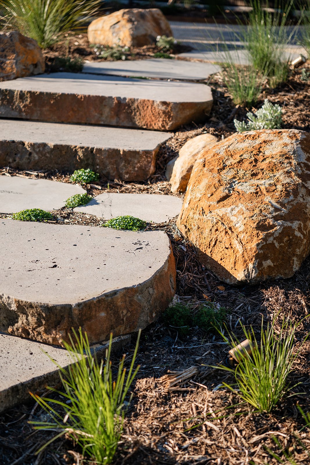 Fig Landscapes Garden Design and Build_Byron Bay88.jpg