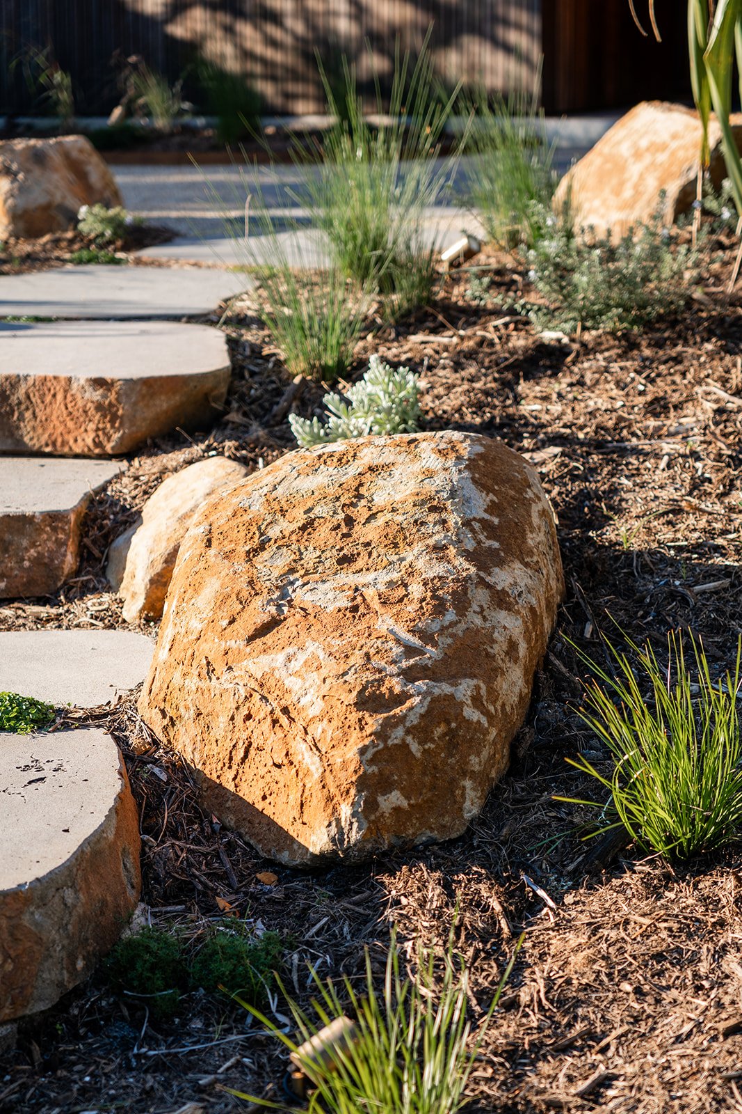 Fig Landscapes Garden Design and Build_Byron Bay90.jpg