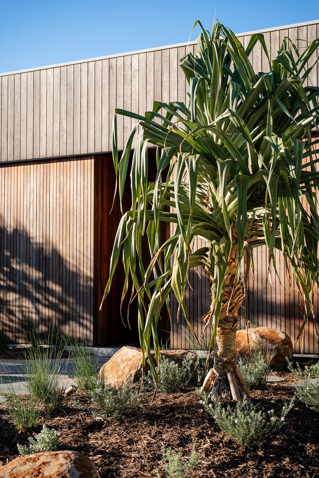Fig Landscapes Garden Design and Build_Byron Bay91.jpg