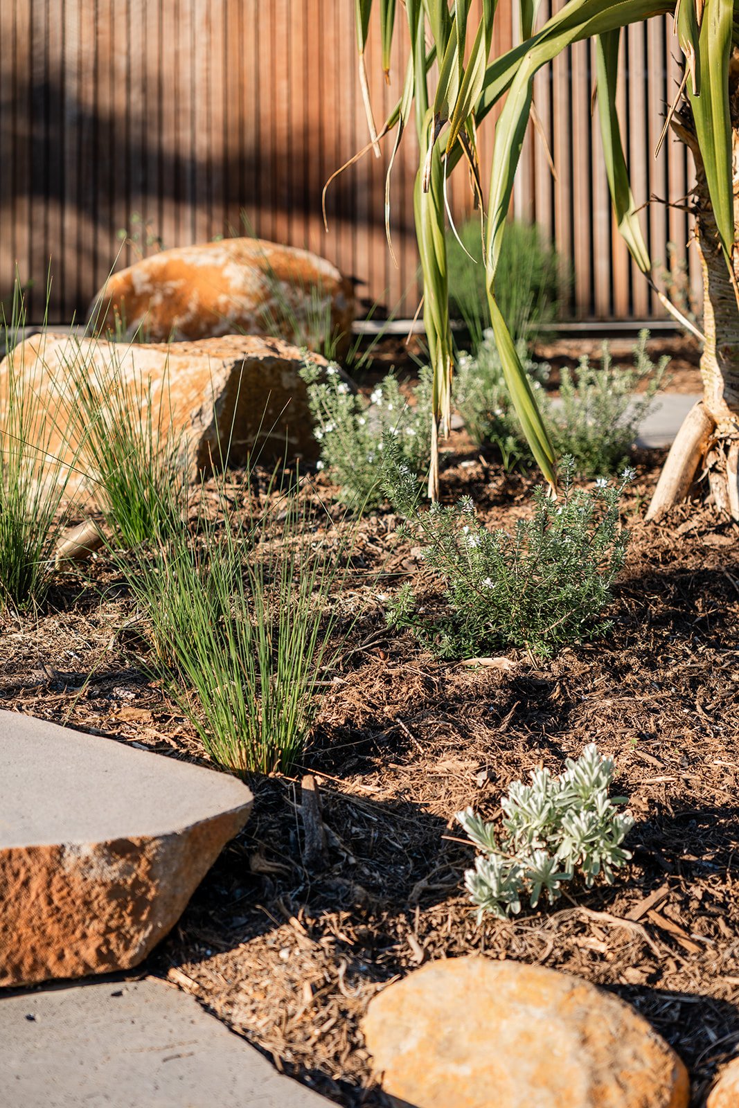 Fig Landscapes Garden Design and Build_Byron Bay92.jpg
