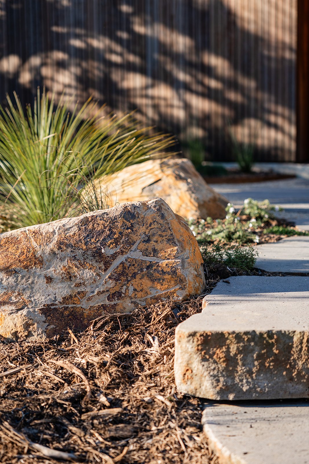 Fig Landscapes Garden Design and Build_Byron Bay95.jpg