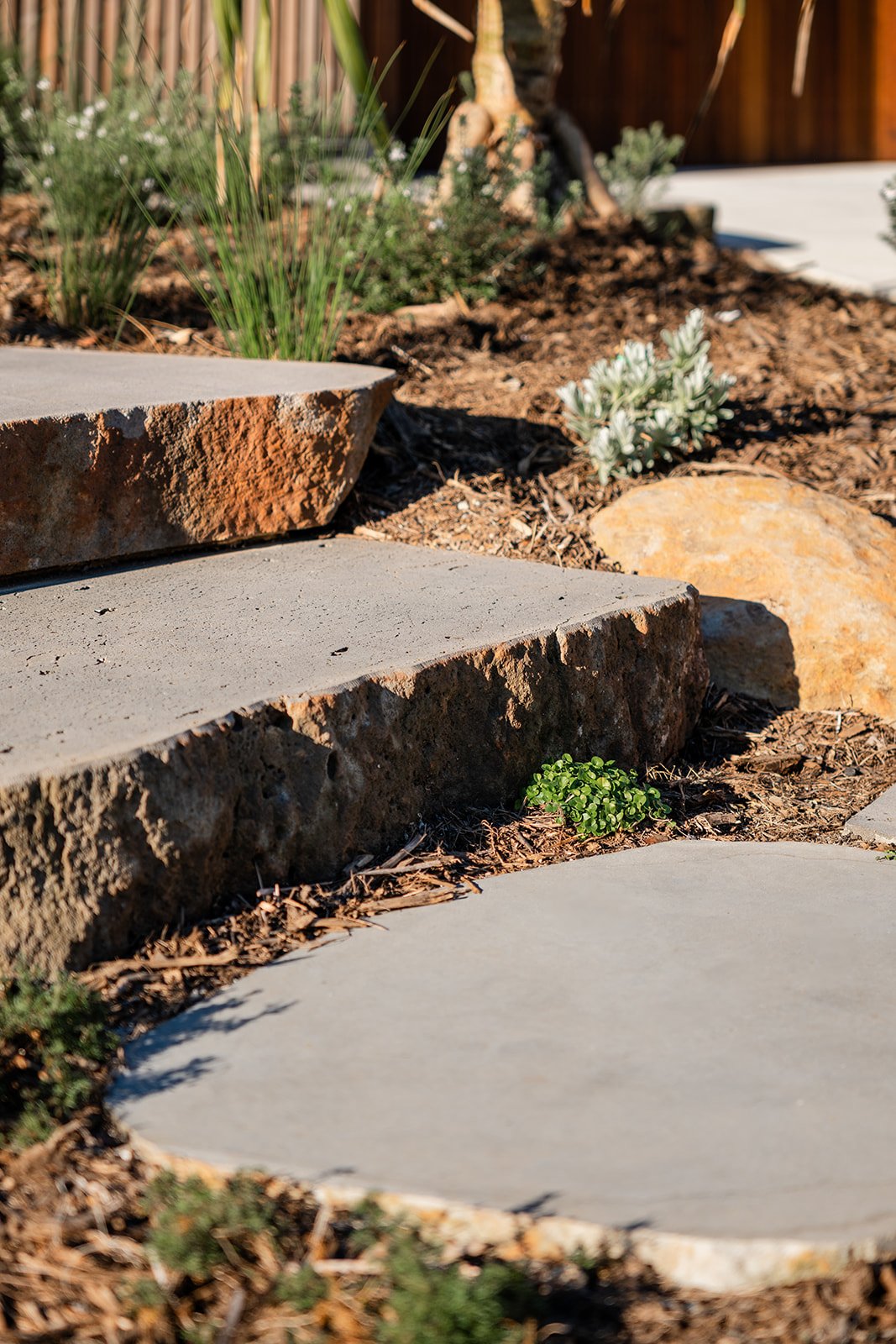 Fig Landscapes Garden Design and Build_Byron Bay96.jpg