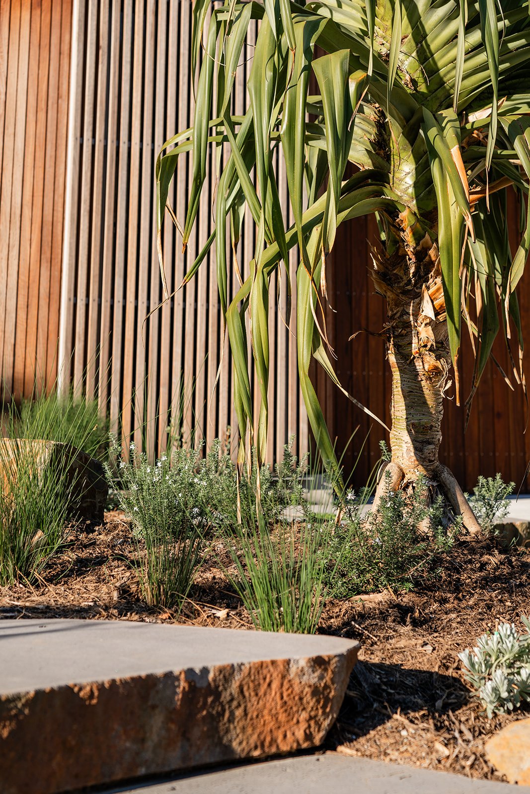 Fig Landscapes Garden Design and Build_Byron Bay97.jpg