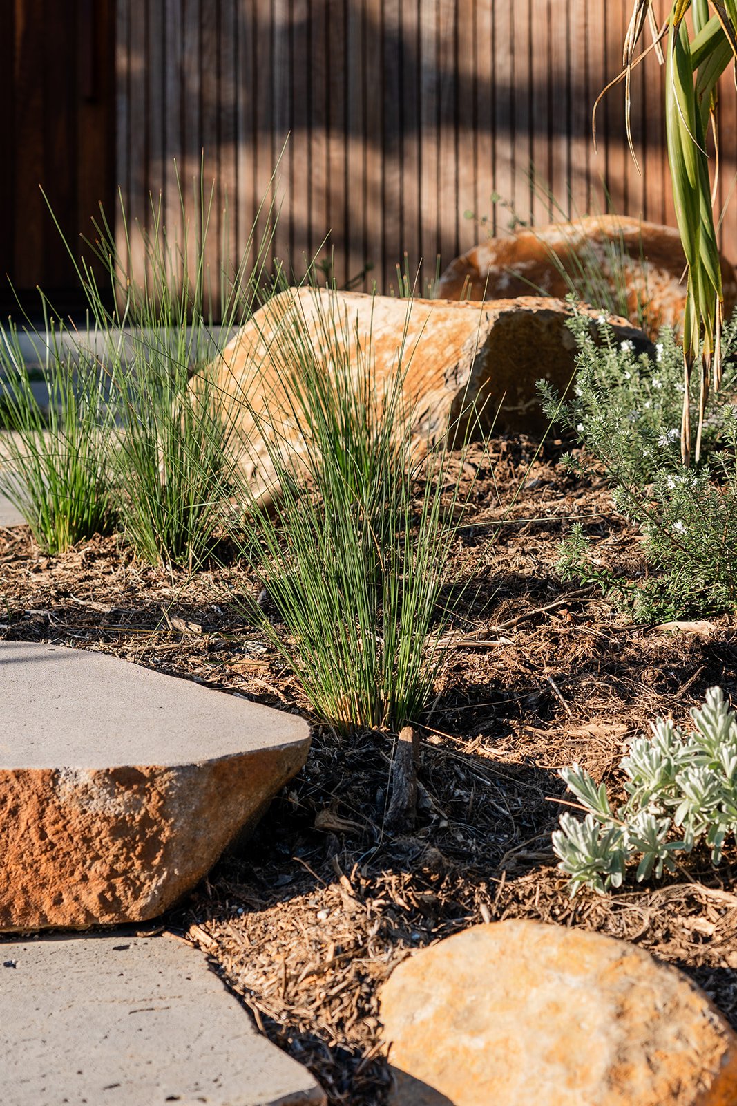 Fig Landscapes Garden Design and Build_Byron Bay101.jpg