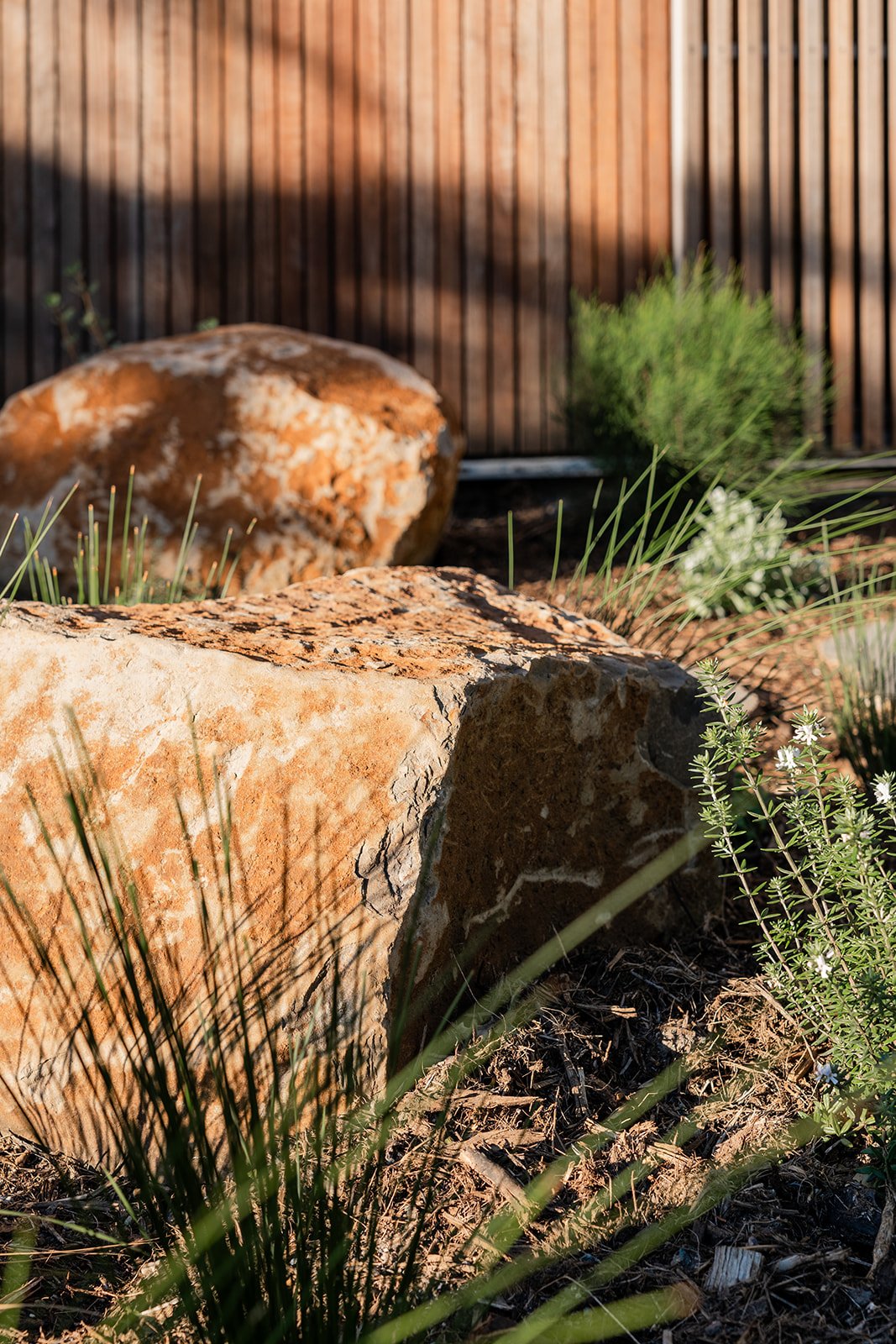 Fig Landscapes Garden Design and Build_Byron Bay110.jpg