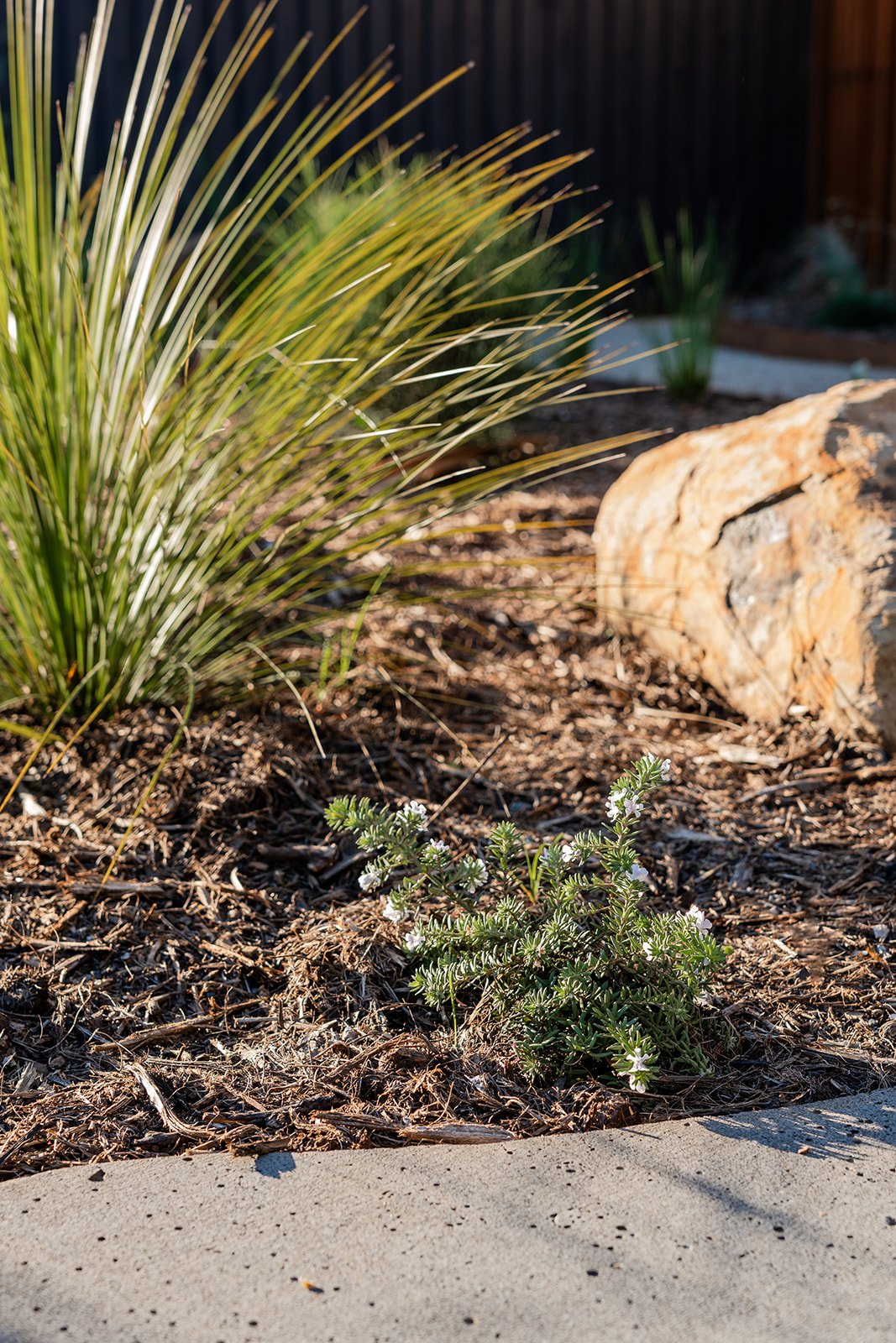 Fig Landscapes Garden Design and Build_Byron Bay114.jpg